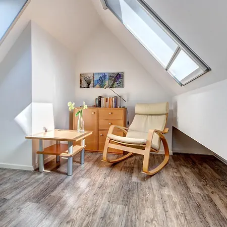 Residenz Am Balmer -bs 30 Mit Wellnessbereich Appartement